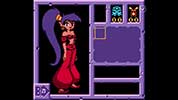 Sample of hq4x with Shantae