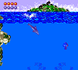 Ecco the Dolphin