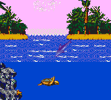 Ecco the Dolphin 2