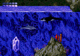 Ecco the Dolphin