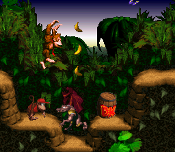 Donkey Kong Country