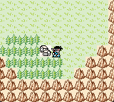 Final Fantasy Legend 2 DX