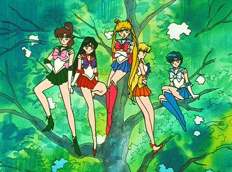 Sailor Moon Groupies - Sailor Scout Action Gallery